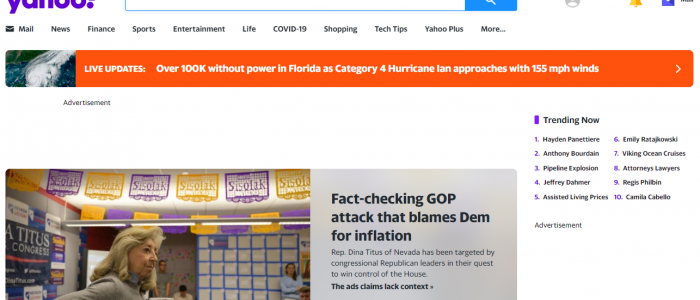 webportal-erstellen webportal-erstellen