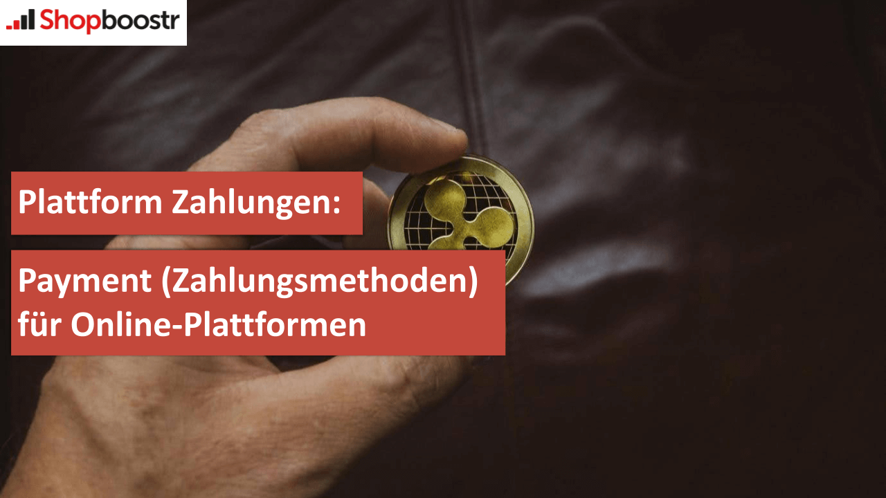 Plattform Zahlungen Payment (Zahlungsmethoden) für Online-Plattformen